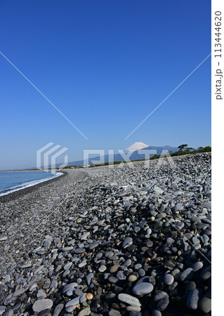 千本浜からの富士山 千本浜からの富士山 113444620