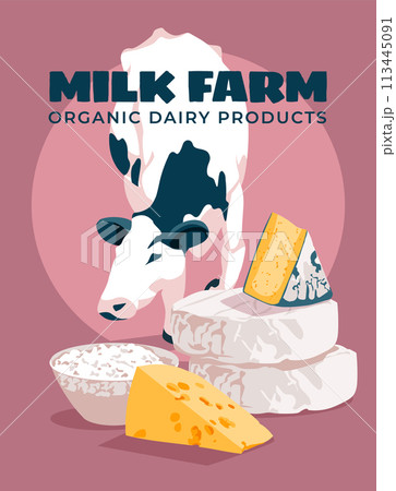 black and white cow standing in dairy. Cheese, farm cheese, Advertising poster of a dairy farm Vector flat illustration 113445091