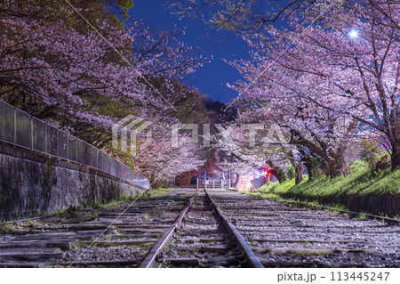 蹴上インクライン 夜桜 蹴上インクライン 夜桜 113445247