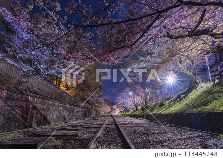 蹴上インクライン　夜桜 113445248