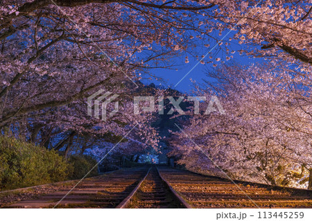 蹴上インクライン　夜桜 113445259
