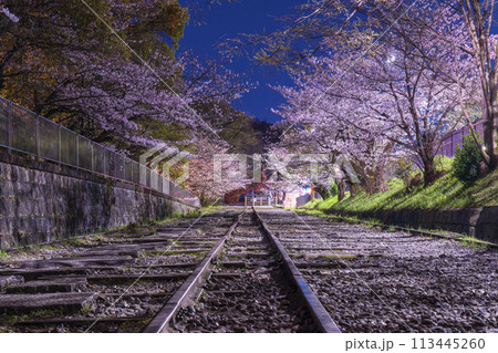 蹴上インクライン　夜桜 113445260