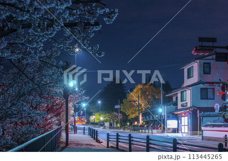 桜の咲く季節　京都蹴上　川端警察署南禅寺交番前 113445265