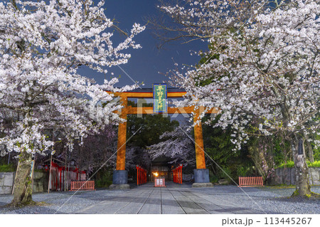 平野神社　満開の夜桜 113445267