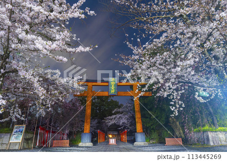 平野神社　満開の夜桜 113445269