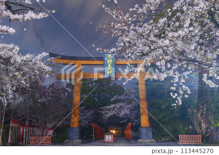 平野神社 満開の夜桜 平野神社 満開の夜桜 113445270