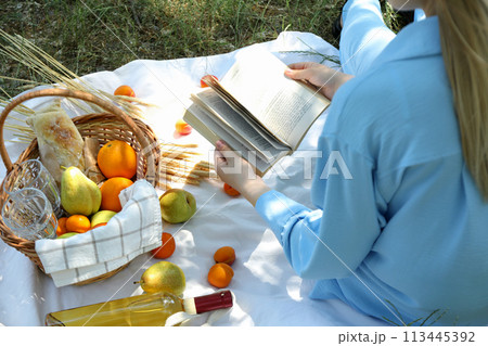 A girl on a picnic reads a book A girl on a picnic reads a book 113445392
