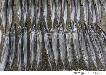 ふたつのグラス ふたつのグラス 113445406