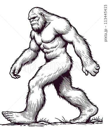 Bigfoot Color Quest 113445415