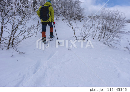 スノーシューハイクのイメージ　大山鏡ヶ成 113445546
