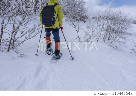 スノーシューハイクのイメージ 大山鏡ヶ成 スノーシューハイクのイメージ 大山鏡ヶ成 113445548