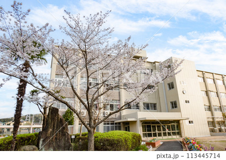 サクラと小学校校舎と青空 サクラと小学校校舎と青空 113445714