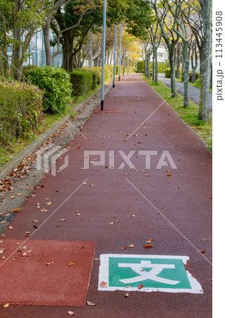 団地内の散歩道、通学路 団地内の散歩道、通学路 113445908