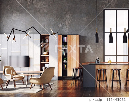 modern living interior 113445981