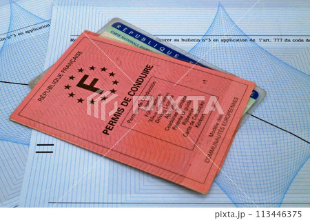 French extract of criminal record 113446375