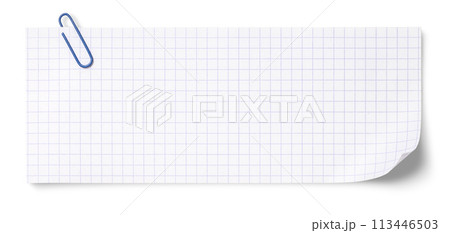 クリップが留められた方眼のあるメモ用紙のテクスチャー クリップが留められた方眼のあるメモ用紙のテクスチャー 113446503