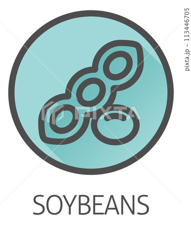 A Soybean Soy Bean Food Allergen Icon Concept 113446705