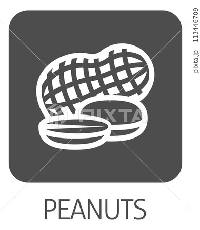 Peanut Nut Food Allergy Icon Concept 113446709