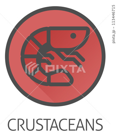 Prawn Shrimp Crustacean Food Allergen Allergy Icon Prawn Shrimp Crustacean Food Allergen Allergy Icon 113446715