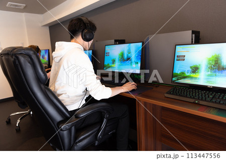 ゲームを楽しむ男性 113447556