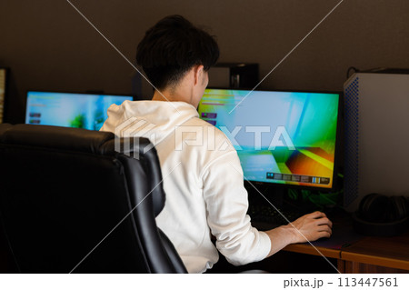 ゲームを楽しむ男性 113447561
