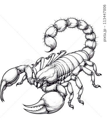 Scorpion Color Page 113447806