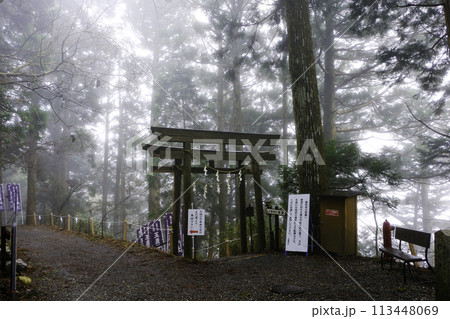 霧に包まれる玉置神社参道 霧に包まれる玉置神社参道 113448069