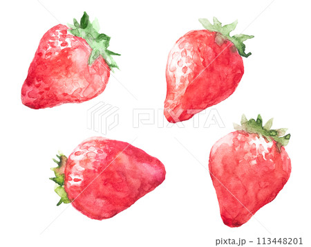 透明水彩で描いた4つのイチゴのイラストのイラスト素材 [113448201