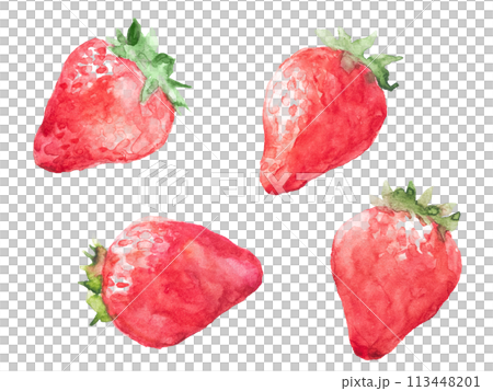 Illustration of four strawberries drawn with transparent watercolors Illustration of four strawberries drawn with transparent watercolors 113448201