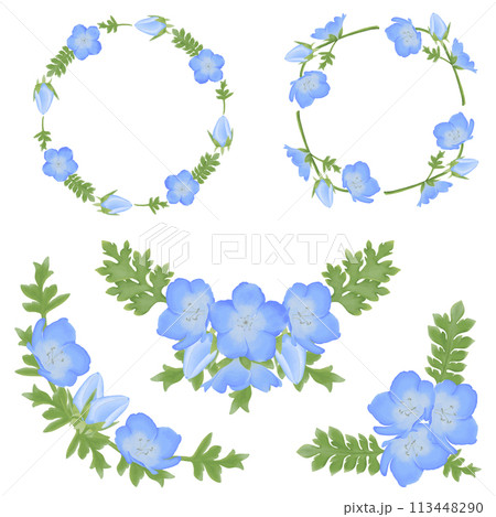 Cute Watercolor Nemophila Flowers (Baby Blue Eyes) - Download Florals 113448290