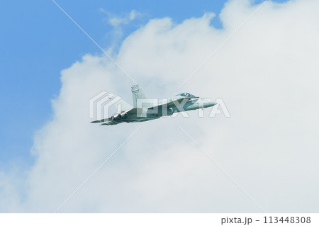 アメリカ海軍F/A-18Cホーネット上昇 113448308