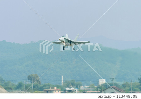 アメリカ海軍F/A-18Cホーネット着陸進入 113448309