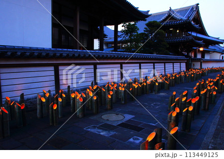 うすき竹宵(大分県臼杵市) うすき竹宵(大分県臼杵市) 113449125