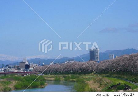 足羽川桜並木さくら名所 福井市市街地風景と白山 足羽川桜並木さくら名所 福井市市街地風景と白山 113449327
