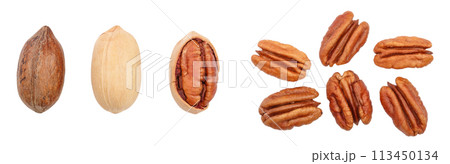 pecan nut isolated on white background. Top view. Flat lay. Set or collection pecan nut isolated on white background. Top view. Flat lay. Set or collection 113450134
