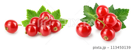 Red currant berry with leaf isolated on white background 113450139