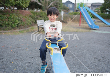 シーソーで遊ぶ男の子 113450156