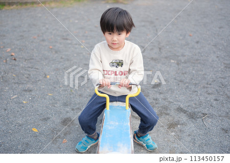シーソーで遊ぶ男の子 113450157