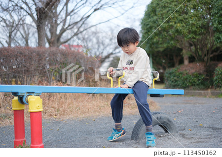 シーソーで遊ぶ男の子 シーソーで遊ぶ男の子 113450162