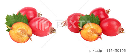 Hawthorn berry with leaf isolated on white background close-up Hawthorn berry with leaf isolated on white background close-up 113450196