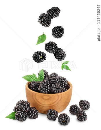 blackberry in bowl with leaf isolated on a white background closeup blackberry in bowl with leaf isolated on a white background closeup 113450247