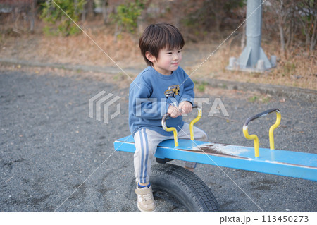 シーソーで遊ぶ男の子 シーソーで遊ぶ男の子 113450273