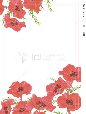 Hand drawn watercolor red poppy flowers frame border isolated on white background. Can be used for post card, invitation and other printed products. 113450370