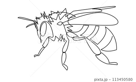 Bee one line art. Continuous line drawing of wasp animal. Single line graphic design. 113450580