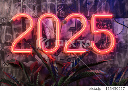 ꕤ*.゜2025年 しめ縄リース ꕤ* ラナンキュラスメインNo.60