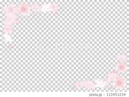 水彩風　パステルカラーの花のフレームイラスト 113451234