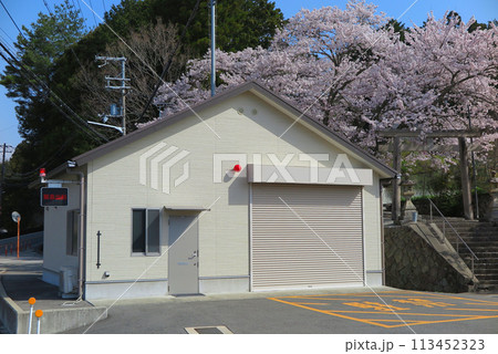 桜が満開の神社鳥居の手前に、消防団の車庫 桜が満開の神社鳥居の手前に、消防団の車庫 113452323