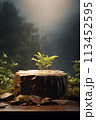 Rain-damp stone rocky podium in misty dense forest. Pedestal for eco-friendly products. Atmospheric natural background, natural stone pedestal after rain in natural plants 113452595