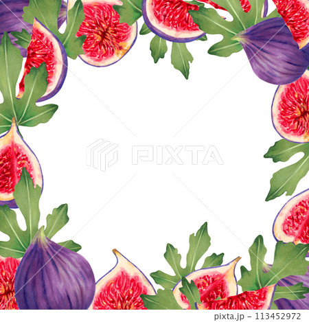 Square frame of whole figs and pieces with leaves. Botanical illustration with watercolors and markers.Tropical berries background with space for text.Hand drawn isolated art.For food,juice packaging. Square frame of whole figs and pieces with leaves. Botanical illustration with watercolors and markers.Tropical berries background with space for text.Hand drawn isolated art.For food,juice packaging. 113452972