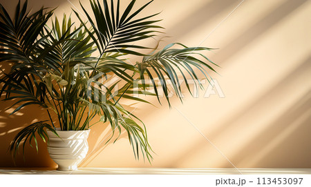 Palm Leaves on Light Cream Wall Serene Botanical Background for Summer, Generative Ai 113453097